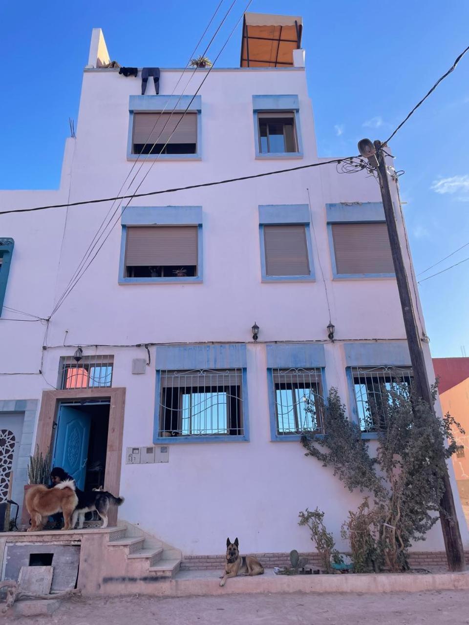 Atlantic Vibes Surf Hostel Tamraght Extérieur photo
